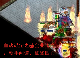 Ѫս֮ҵ棺ʵսķ