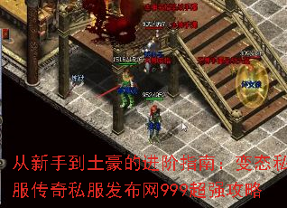 ֵĽָϣ̬˽˽999ǿ
