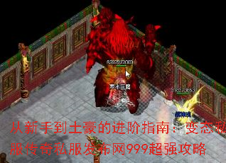 ֵĽָϣ̬˽˽999ǿ