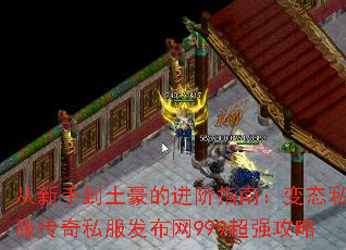ֵĽָϣ̬˽˽999ǿ