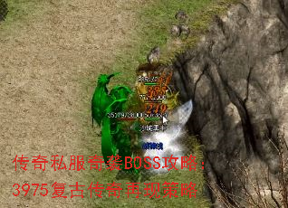 ˽ϮBOSSԣ3975Ŵֲ