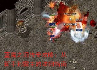 ħ֮ᴫ湥ԣֵϸָ