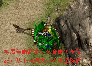 ħԳ̬ϻ˽С׵ȫ