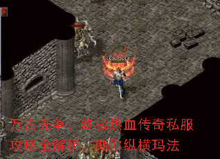 ռѪ˽ȫݺ귨