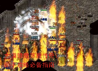 Įӥ¹棺ֹԱرָ
