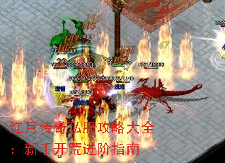 ´˽ԴȫֿĽָ