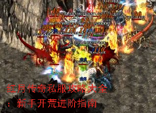 ´˽ԴȫֿĽָ