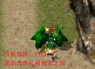 Ԥޣ996Ĵ˽ҵ֮
