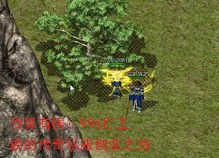 Ԥޣ996Ĵ˽ҵ֮