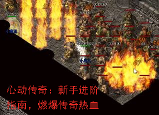 Ķ棺ָֽϣȼѪ