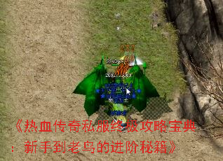 Ѫ˽ռԱ䣺ֵĽؼ