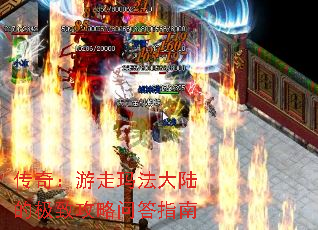 棺귨½ļ¹ʴָ