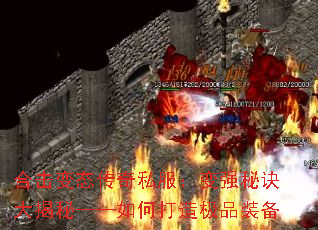 ϻ̬˽ǿؾءδ켫Ʒװ