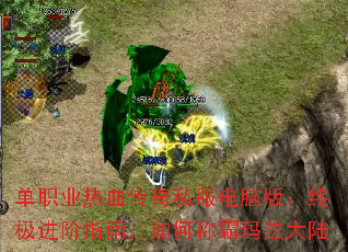 ְҵѪ˽԰棺ռָϣγư귨½