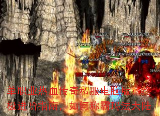 ְҵѪ˽԰棺ռָϣγư귨½