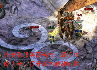˽ӢϻֹԴȫսƵʤ