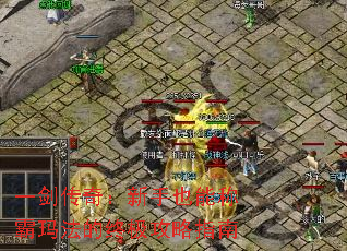 һ棺Ҳܳư귨ռָ