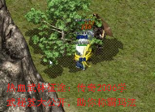 Ѫ;2006ѧŴ󹫿ư귨