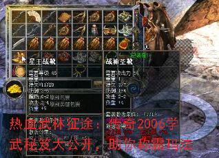 Ѫ;2006ѧŴ󹫿ư귨