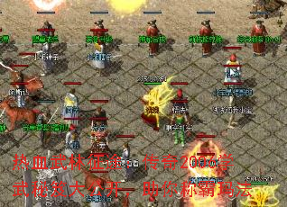 Ѫ;2006ѧŴ󹫿ư귨