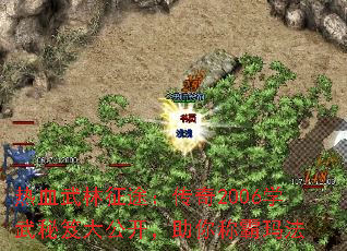 Ѫ;2006ѧŴ󹫿ư귨