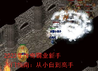 2023괫ҵָϣС׵
