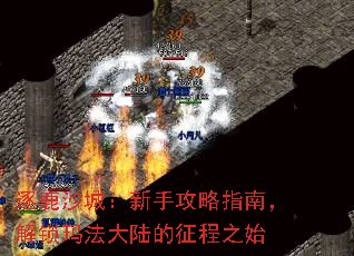 ¹ɳǣָֹϣ귨½֮ʼ