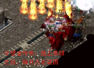 ߴ棺̤Ӣ֮ã⿪