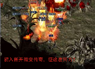 ¿΢䴫棬;ںη