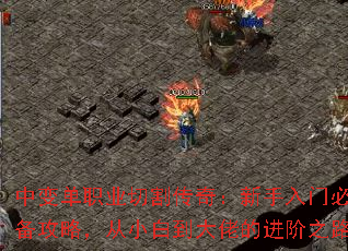 б䵥ְҵи棺űرԣС׵еĽ֮·