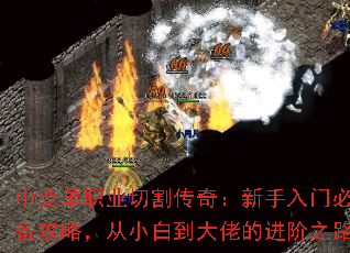 б䵥ְҵи棺űرԣС׵еĽ֮·