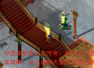 б䵥ְҵи棺űرԣС׵еĽ֮·