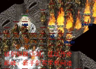 ƽݺὭս۷壺ֽʵ