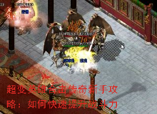 Ӣۺϻֹԣοս