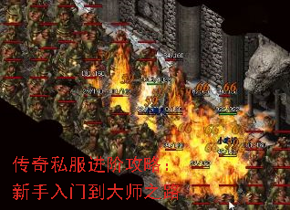 ˽׹ԣŵʦ֮·