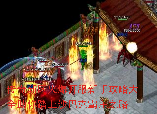 𱬿ֹԴȫ̤ɳͿ˰֮·