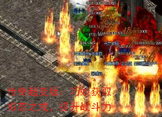 泬棺ȡ̬֮䣬ս