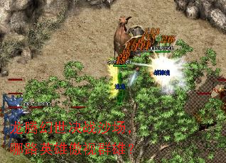 ڻսɳ·Ӣ۰Ⱥۣ
