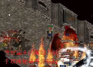 ҫعֹؼ̽