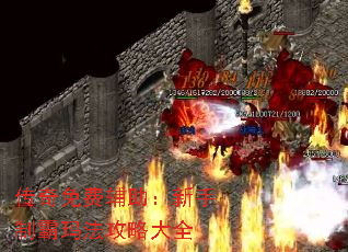 Ѹư귨Դȫ