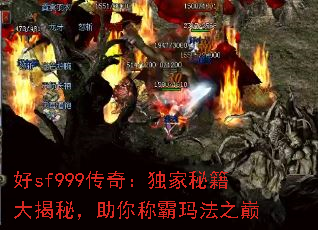 sf999棺ؼأư귨֮