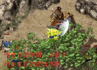 ɳԣִ嵽ʹĽ׹