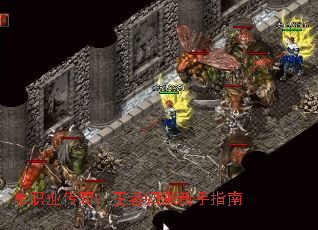 ְҵ棺߹ָ