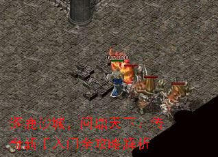 ¹ɳǣʶ£ȫԽ
