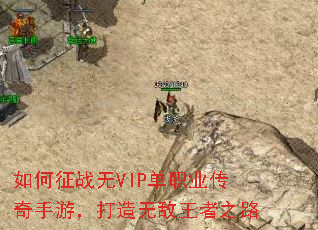 սVIPְҵΣ޵֮·