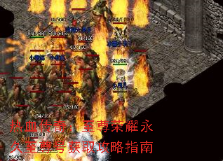 Ѫ棺ҫŻȡָ