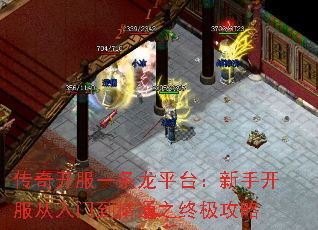 濪һƽֿ̨ŵ֮ͨռ