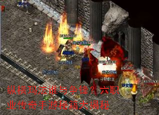 ݺ귨˭棿ְҵؼ