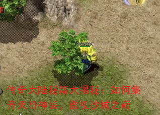 ½ؼأμװɳ֮