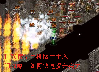 1.76ֻŹԣοʵ
